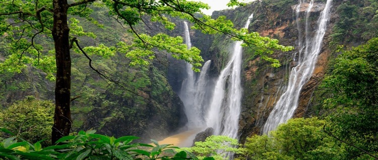shimoga-Jog-kunchikal-falls