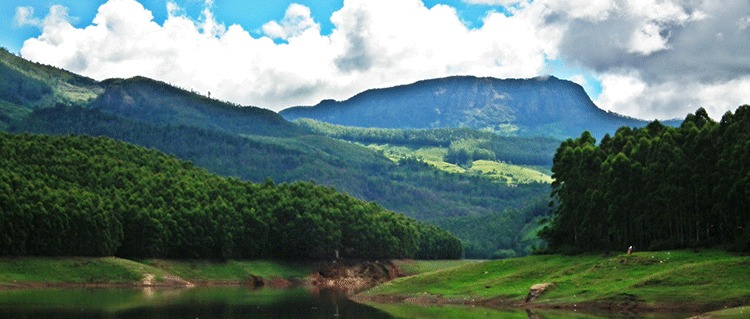 Munnar & Thekkady Tour Packages