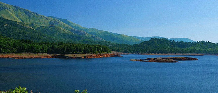 Ooty & Wayanad Tour Packages