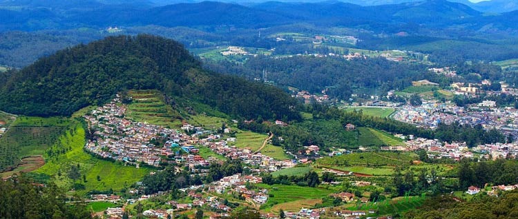 ooty