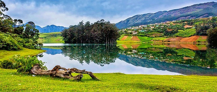 Ooty & Coorg Hill Station Tour Packages