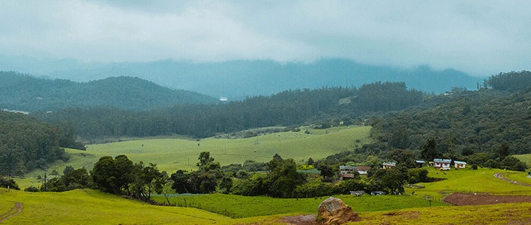 Ooty & Munnar Hillstation Honeymoon Packages