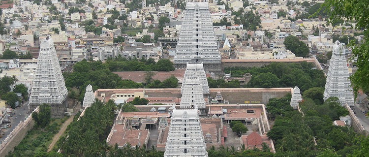 Thiruvannamalai Annamalaiyar Temple Tour Packages