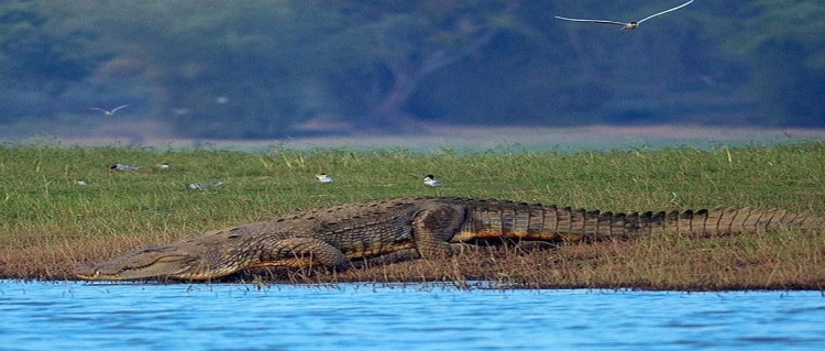 Bangalore-Kabini-Tour