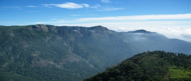 dolphin-nose-peak