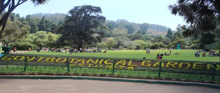 ooty-botanical-garden