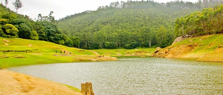 Mattupetty dam Munnar