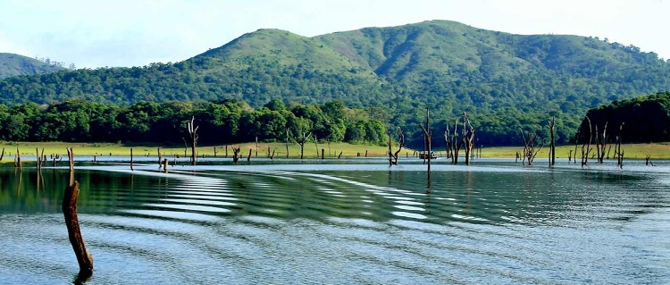periyar-lake-thekkady