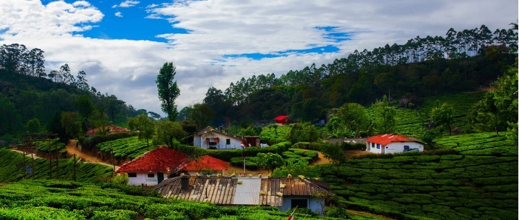 tata-tea-museum