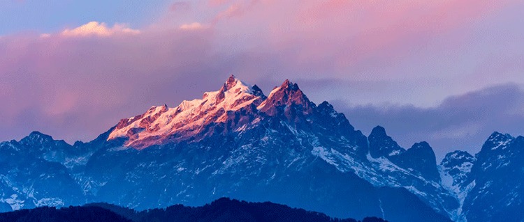 Darjeeling Blue Hill