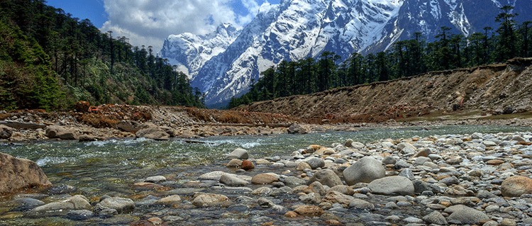 Gangtok Darjeeling Tour