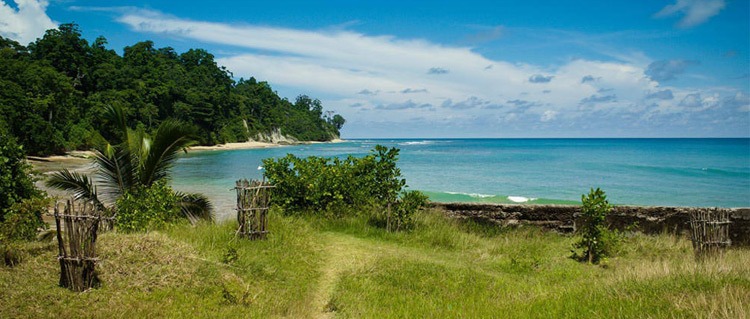 Grassy Andaman