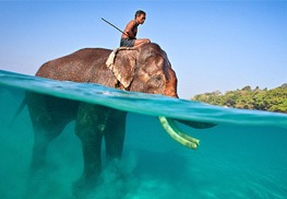 Andaman Tour