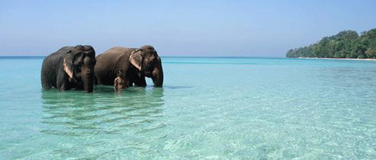 Blue sea In Andaman