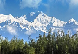 Exotic Darjeeling Honeymoon Tour