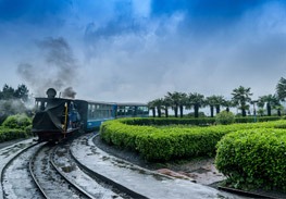 Gangtok Darjeeling tour