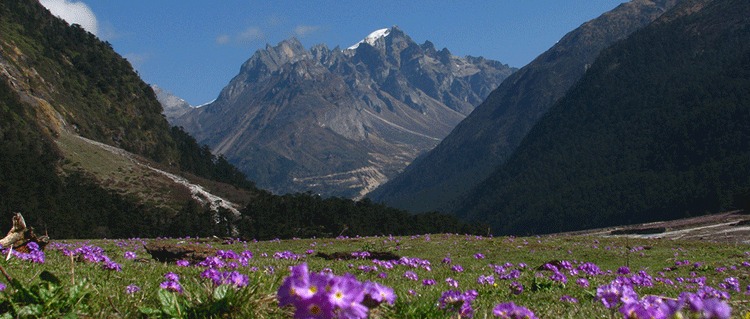 Gangtok Mountain