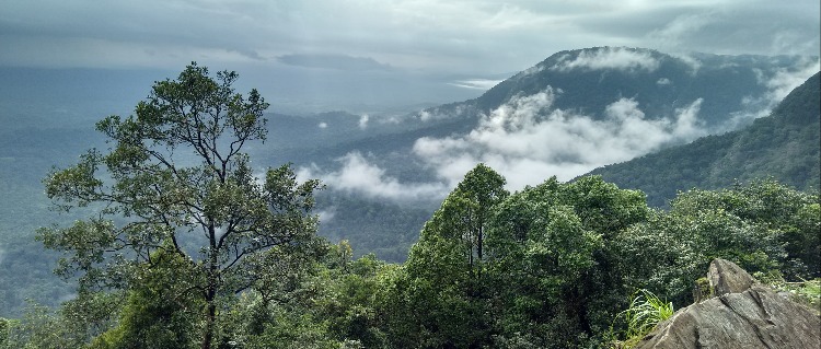 shimoga-Jog-kunchikal-falls