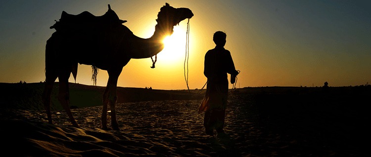 cmel Ride rajasthan