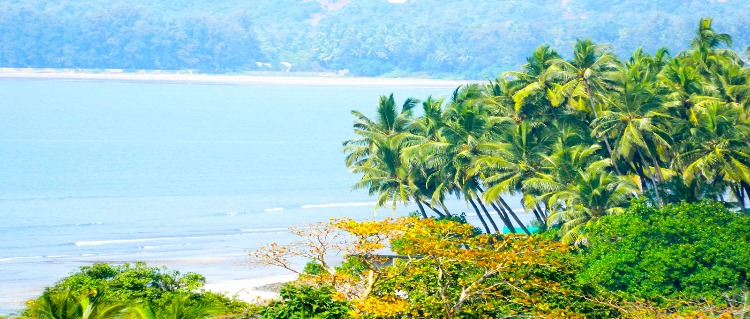 Murud Beach with Animal